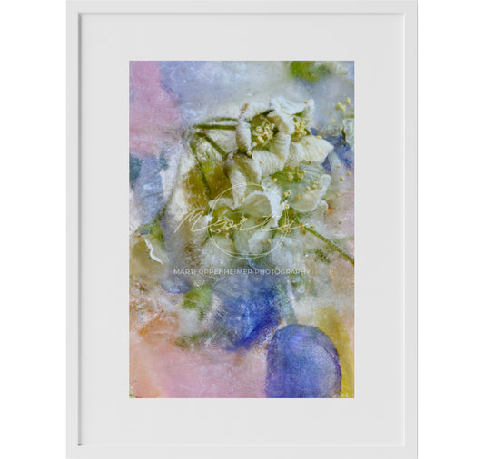 Ode to Provence Print