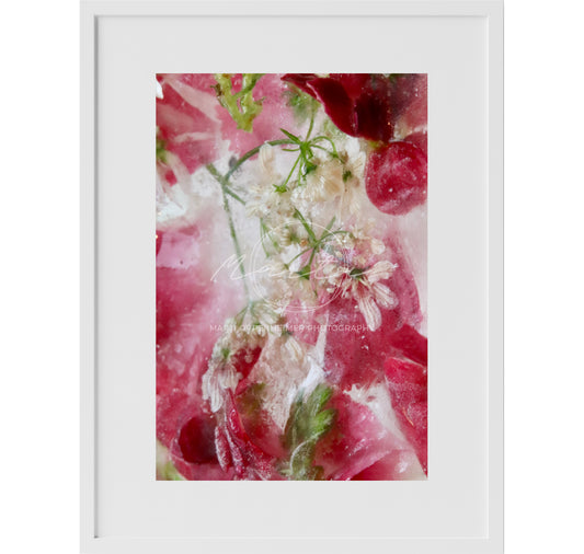 Pomegranate Swirl Print